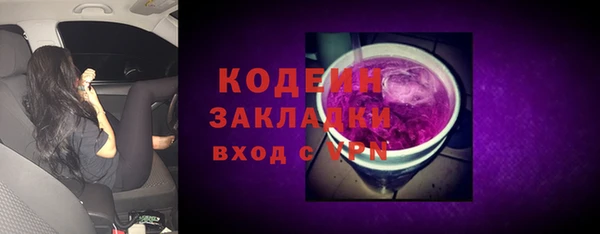 хмурый Арсеньев