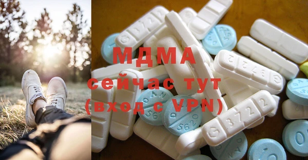 хмурый Арсеньев