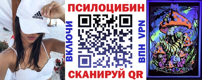 где продают наркотики  Калач  Псилоцибиновые грибы мицелий 